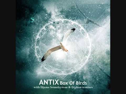 Antix - Box Of Birds (Original Mix)