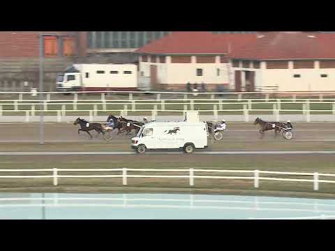 2017.12.31. 1. futam - NAGY LOVAS ÁRUHÁZ - CSILLAGSZÓRÓ DÍJ