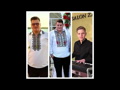 Sârbă  - În drum spre casă  ( Lăutarii)