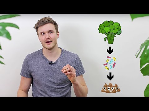 download lagu mp3 mp4 Varfr r Det Bra Att ta Vegetariskt, download lagu Varfr r Det Bra Att ta Vegetariskt gratis, unduh video klip Varfr r Det Bra Att ta Vegetariskt