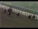 Affirmed vs. Alydar - 1977 Youthful Stakes (1st Meeting)
