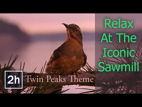 Twin Peaks Theme - Relax At The Iconic Sawmill - 2 hours
