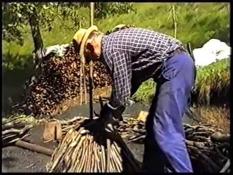 Antichi mestieri - Il taglio della legna