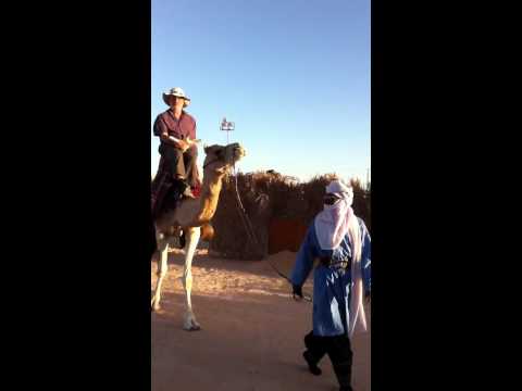 Ride on a camel
