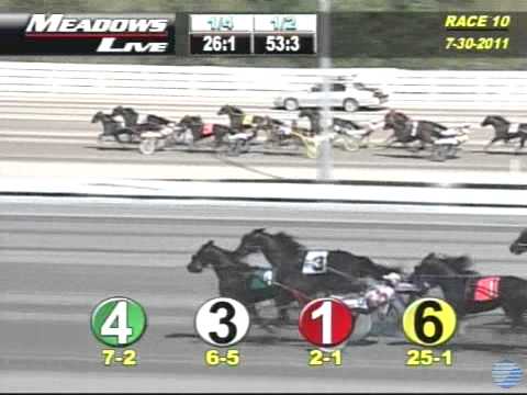 2011 Adios Final - theharnessedge.com