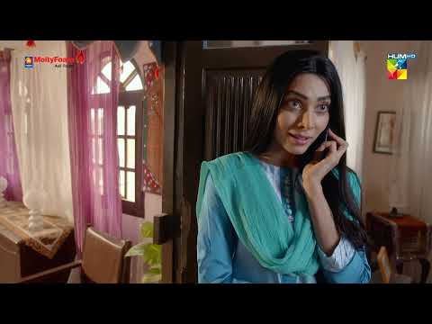 Mahrukh Ne Tameezudin Ki Beti Ki Kia Qeemat Lagai ? - Bebasi - HUM TV