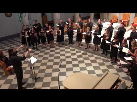 Flight Song - Kim André Arnesen