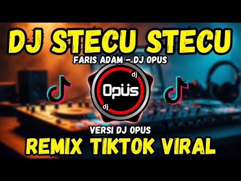 DJ STECU STECU FARIS ADAM 2025
