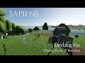 Sapiens Devblog #30 - Placing Rocks & Branches
