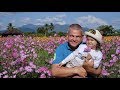 Muang Gan Mae Taeng Flower Field Chiang Mai Thailand 2017 2018