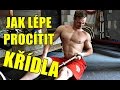 PŘÍTAHY LANA/T-DRŽÁKU NA SPODEK KŘÍDEL (Budujeme hloubku!)