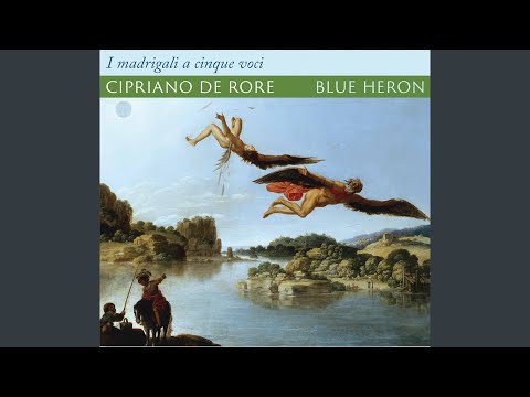 Madrigali a 5 voci (1542 Version) : No. 5, Solea lontana