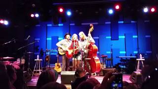 The Stray Birds - Best Medicine