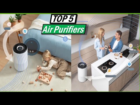 ✅Best Air Purifiers In 2024 | Top 7 Best Air Purifiers Reviews Of 2024 [You Can Buy]