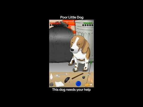 Poor Little Dog