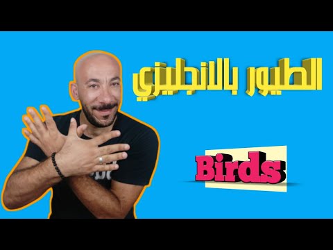 اسماء الطيور بالانجليزي مع الصور