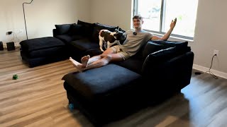 Large Adjustable Sectional From Amazon (Can’t Beat the Price)