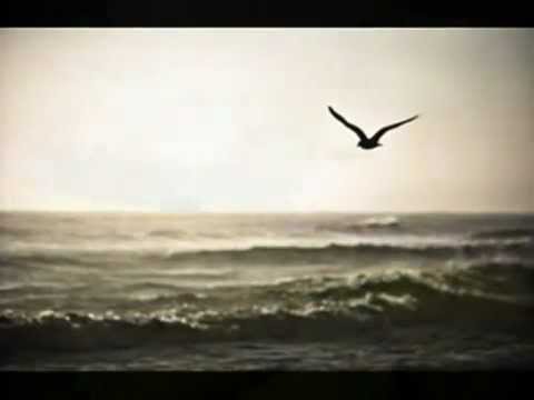 Ei eksy taivaan lintukaan -Kari Tapio