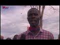 PANYA WASHAMBULIA ZAIDI YA HEKTA 1870 ZA MAZAO MBALIMBALI NANYUMBU MTWARA
