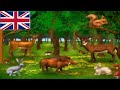 Learn Animals At The Forest Habitat 3 English
