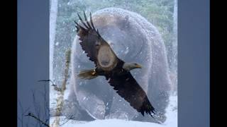 Love Of Freedom-Nazareth(feat. Ely, MN and the BWCA)