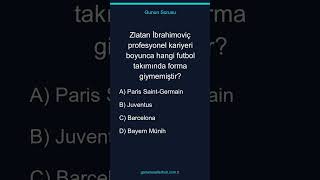 Zlatan İbrahimoviç profesyonel kariyeri boyunca hangi futbol takımında forma giymemiştir?