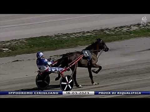 Aversa trotto 18 Marzo 2023 - Prova di riqualifica