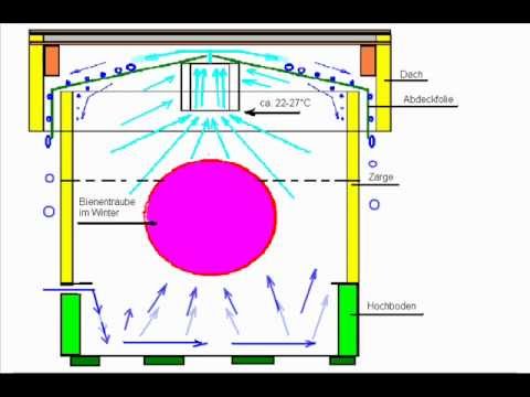 Beutenluftung im Winter