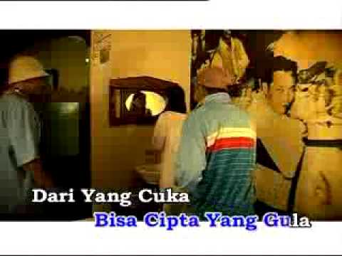 Chantek video