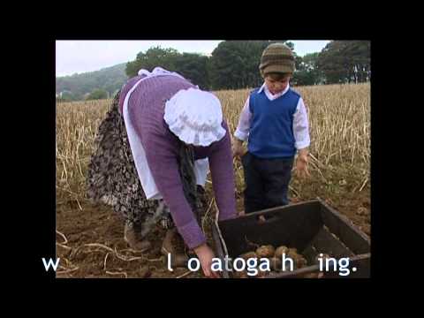 Donegal Potato Gathering DVD