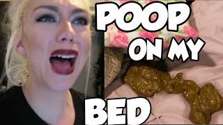 MY DOG POOPED ON MY BED!!!