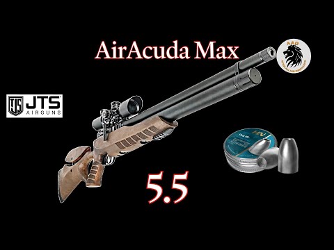 JTS Airacuda Max 5.5mm (.22) - 55-Yard Precision Test with H&N 23-Grain Airgun Slugs