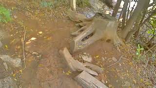 宮島をうろつく　ラスト