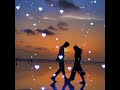 Thottu Thottu Pesum Sulthana Lovesong
