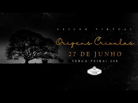 LOTE 02   Querendon do Recanto Crioulo