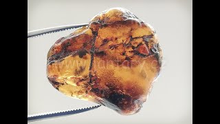 Okno do křídového jantaru BO-7