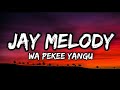 Jay Melody - Wa pekee Yangu Official Lyrics.