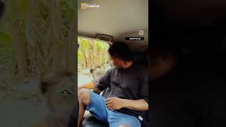 You’ve Heard These Meme Voices, Now Watch Their Original Videos!