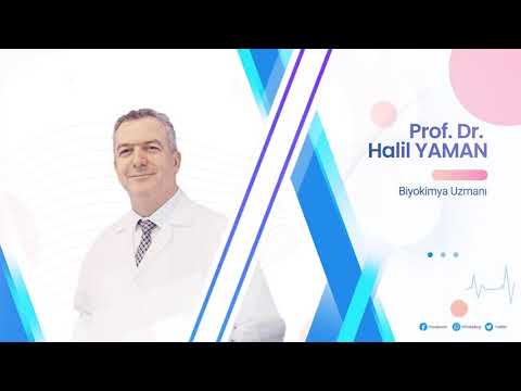 ZGHolistic Clinic Prof Dr Halil Yaman Epigenetik Nedir