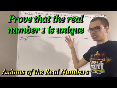 Prove that the real number 1 is unique (ILIEKMATHPHYSICS)