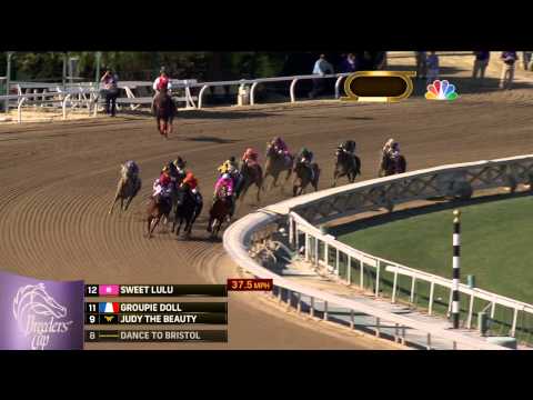 2013 Breeders' Cup Filly and Mare Sprint - Groupie Doll