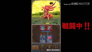 【テリワン生声実況】ちからの扉-黄金郷-入手魔物とは⁉️part11