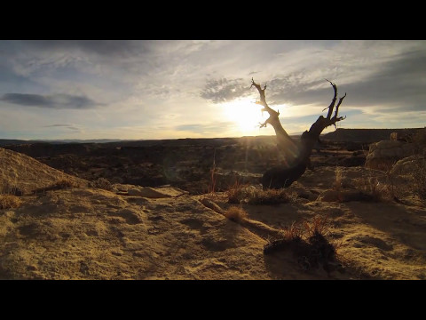 My Soul Sings Lyric Video