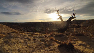 My Soul Sings Lyric Video