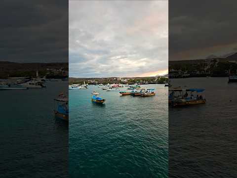 ПОКИДАЕМ ОСТРОВ САН КРИСТОБАЛЬ. ГАЛАПАГОССКИЕ ОСТРОВА. ЭКВАДОР 🇪🇨