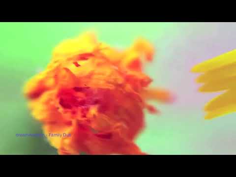 dreamAwaken -  Family Dub (Tour De Traum XV)