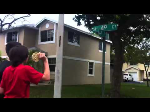 Exterminator Series Ep.1 Wasp Nest