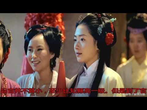 六品官
