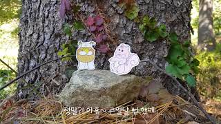 산림청 그루에게 배우는 올바른 산행예절! 그루터기 북부청 혁신동아리 C조