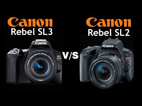 Canon Rebel SL3 Vs Canon Rebel SL2  | Quick Camera comparison